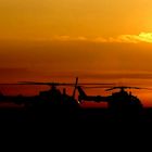 BO105M in der Abendsonne