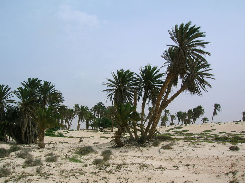 Boa Vista