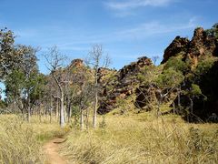 Boabs in Mirima NP