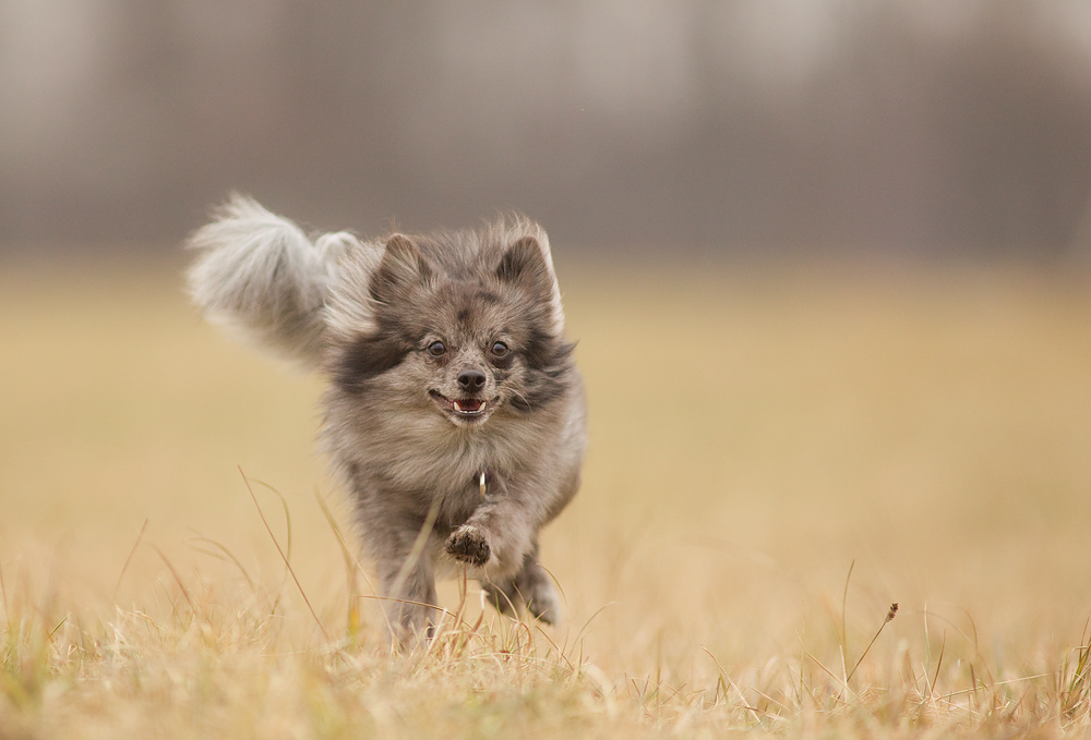 Boah, bin ich Spitz!!