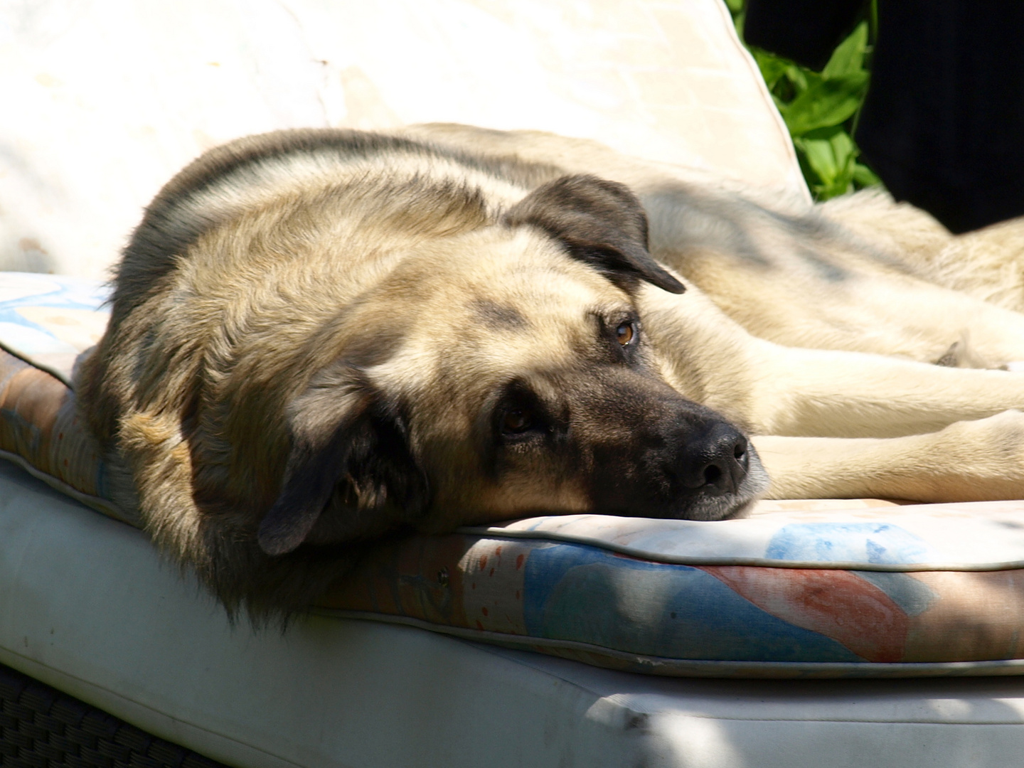 Boah! Ist es heute aber warm!