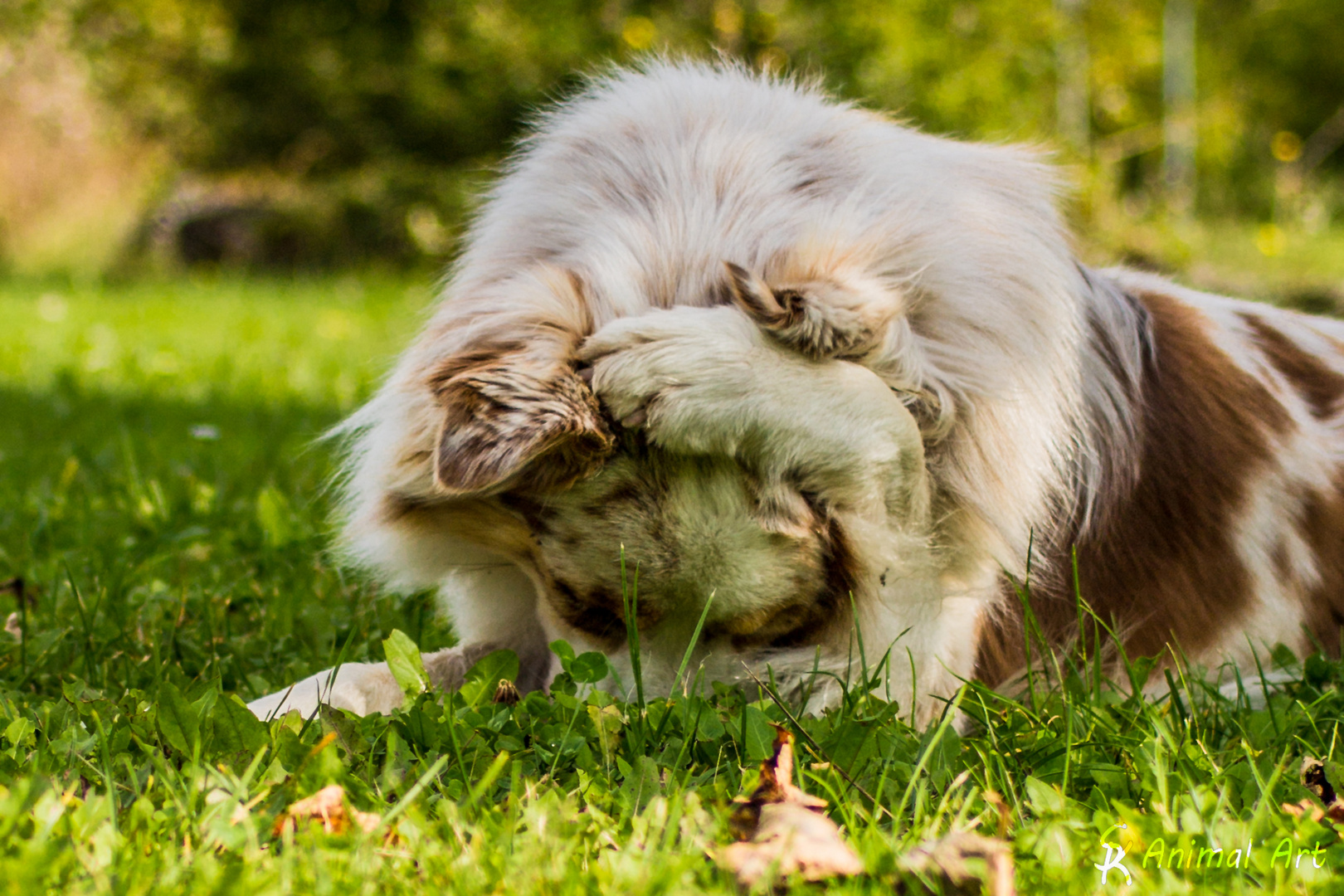 "Boah Leute... Müsst ihr so laut sein? Ich hab echt voll den Kater..."