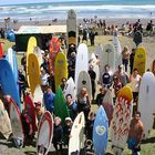 board riders