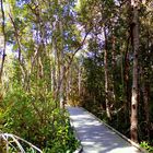 Boardwalk in Four Mile Cove