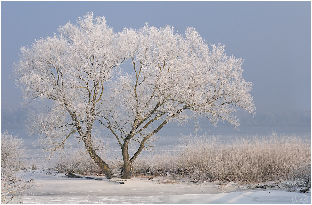 Boarisch colored nature