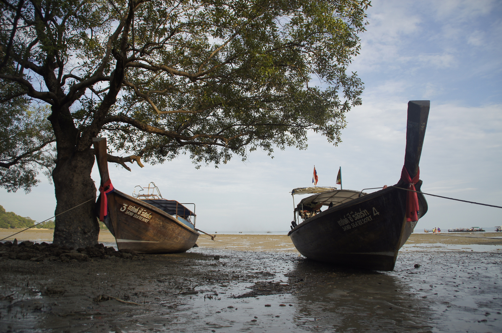 Boasting Boats