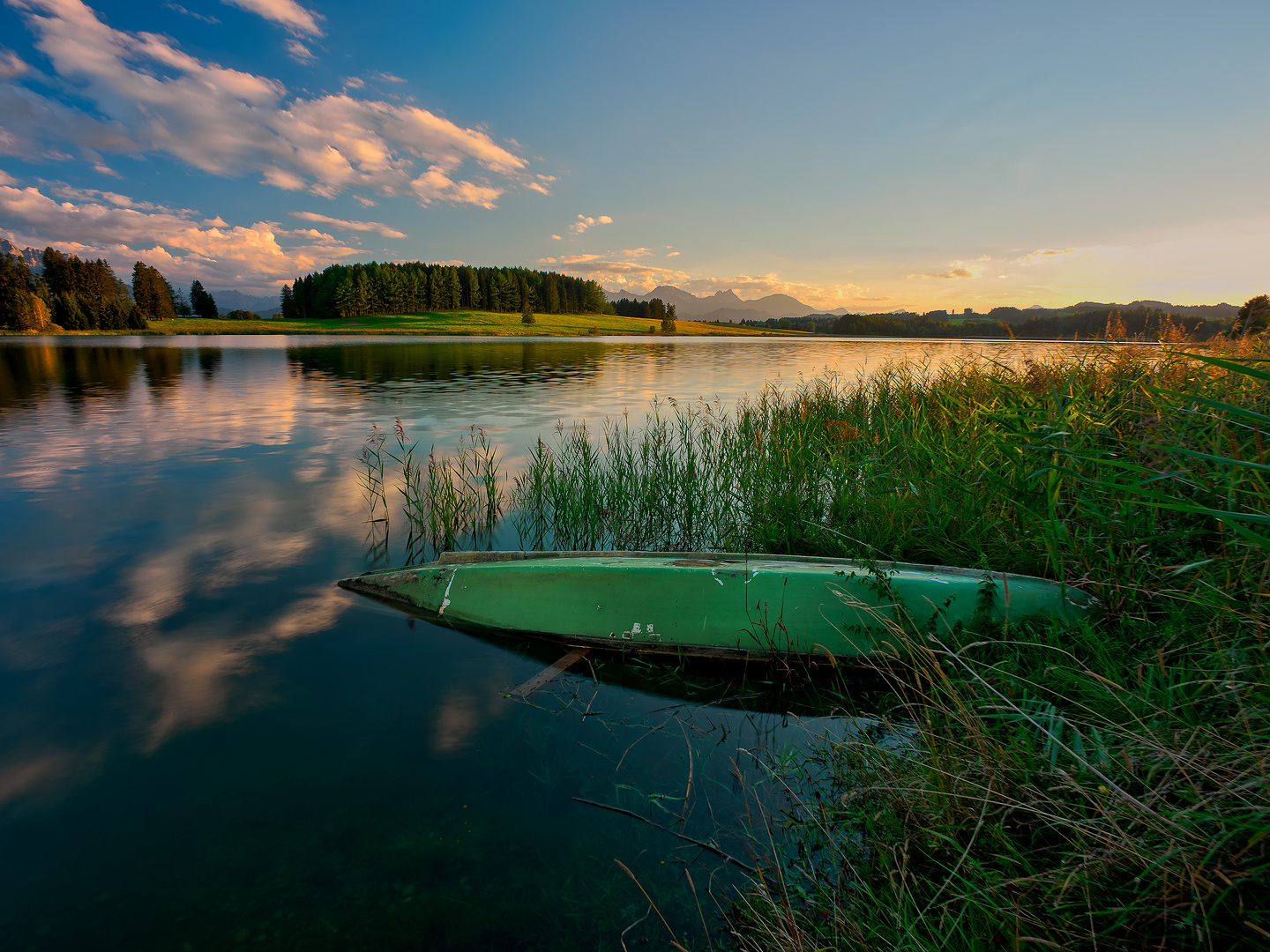 ~ Boat ~