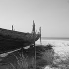 BOAT-2 "JUMEIRA BEACH"