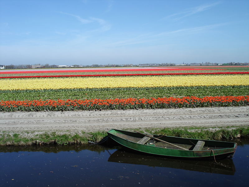 boat and flowers