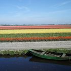 boat and flowers