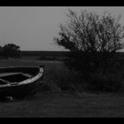 Boat and tree