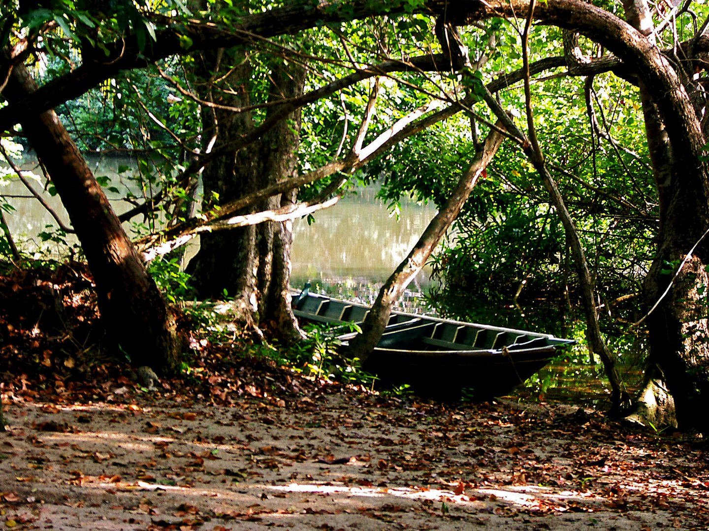 Boat by the river