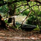 Boat by the river