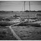 Boat graveyard II