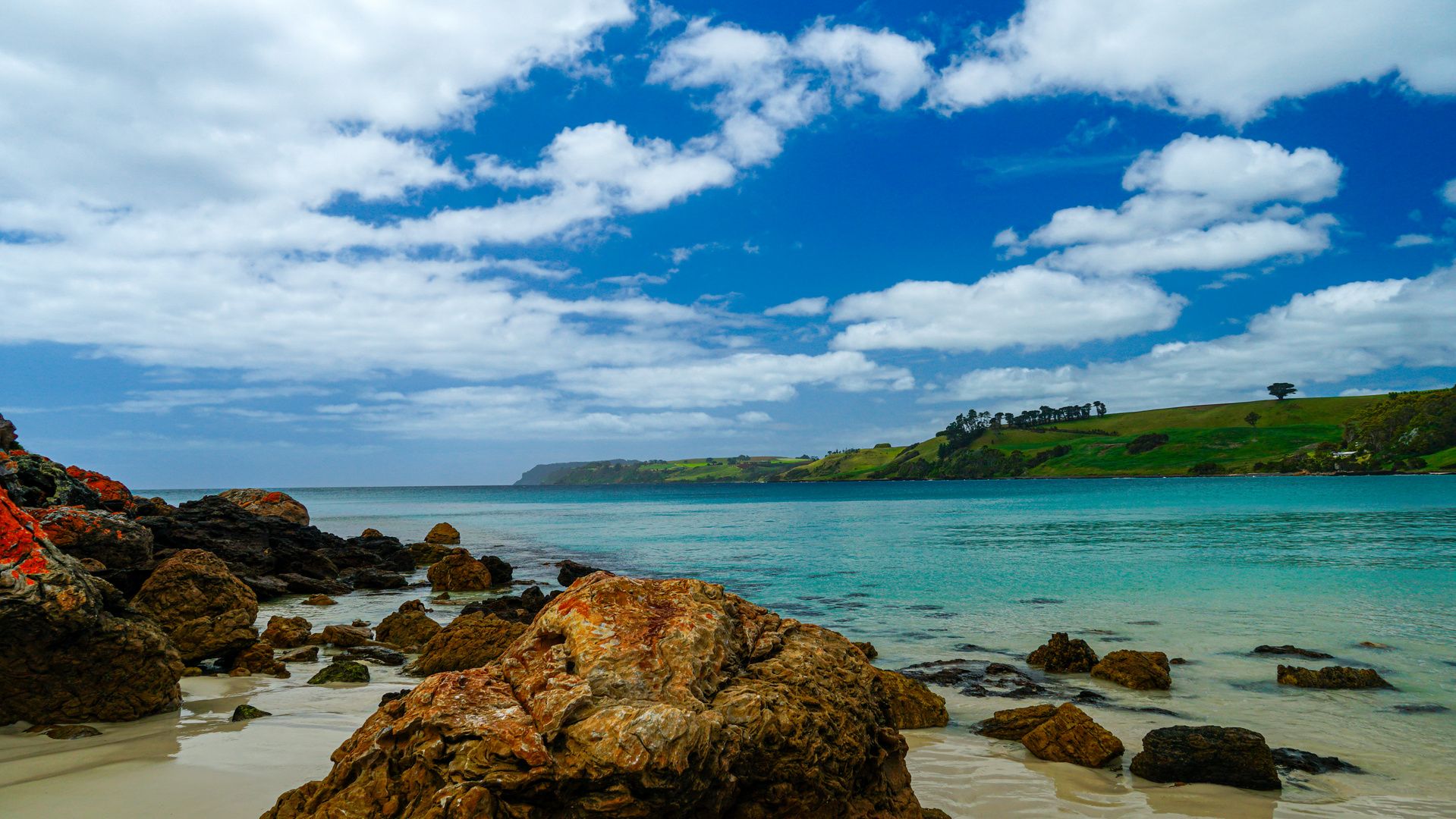 Boat Harbour Beach, Tasmanien, Australien