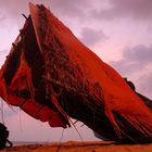 Boat in Kerala