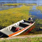 boat on the river