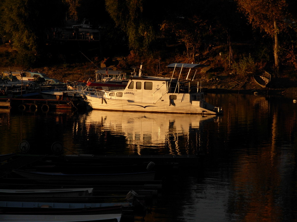 Boat on the river