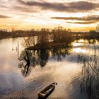 Boat on the river