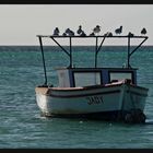 BOAT WITH BIRDS