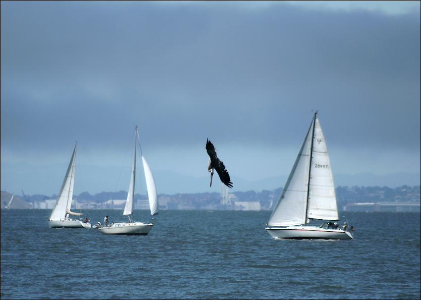 Boating and fishing