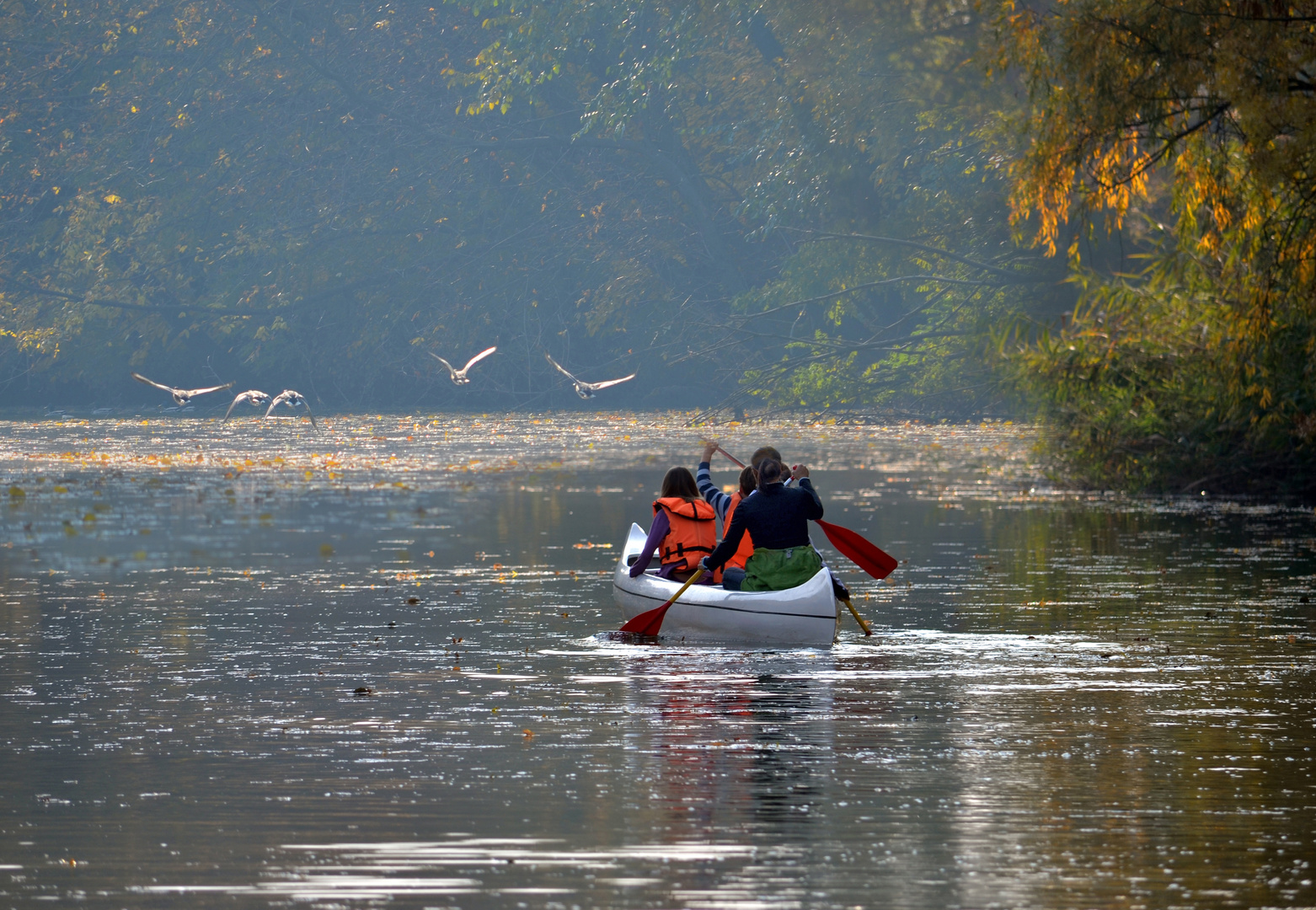 BOATING IN FALL WATERS