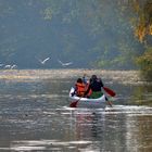 BOATING IN FALL WATERS