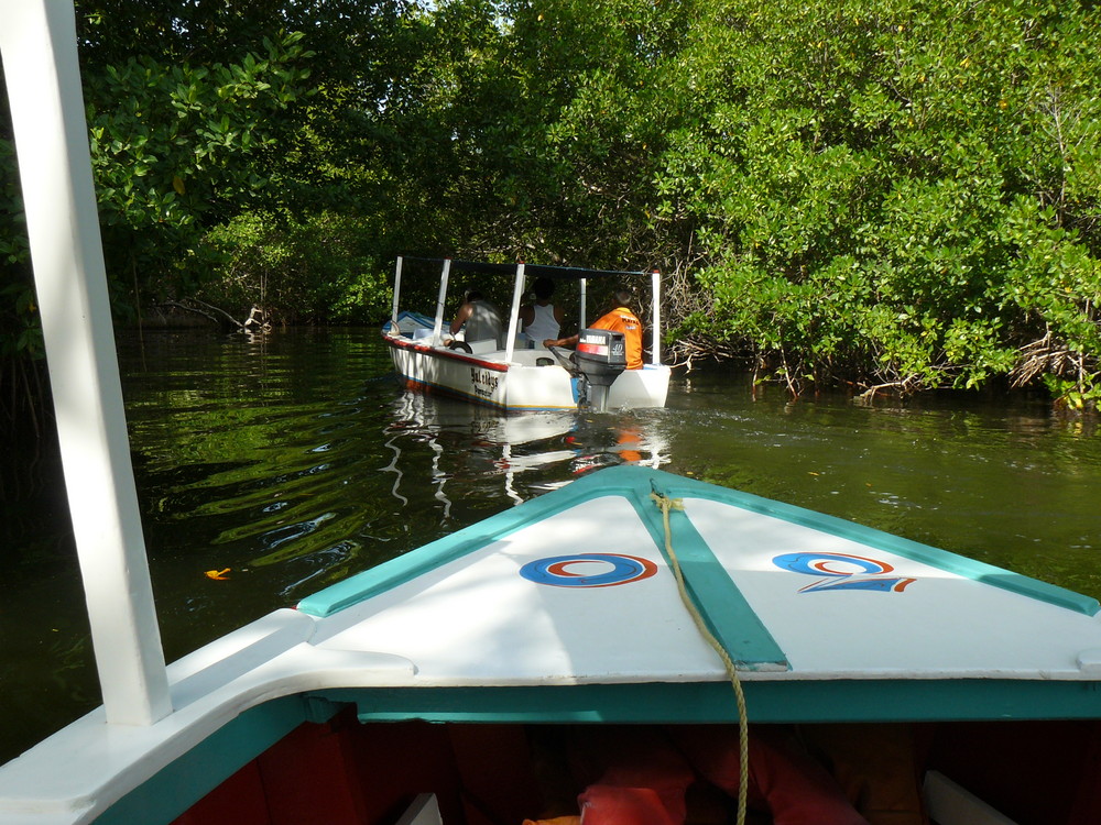 Boating in La Restinga Lagoon, Margarita Island, Venezuela