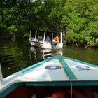 Boating in La Restinga Lagoon, Margarita Island, Venezuela