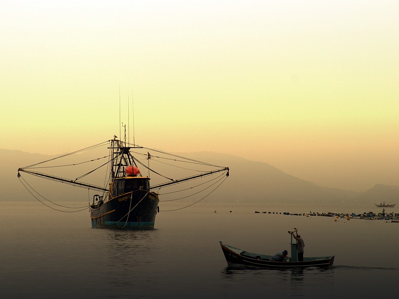 Boats