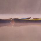 Boats in Delaware Park, Buffalo