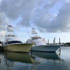 Boats in pastel colors