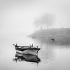 Boats in the Mist