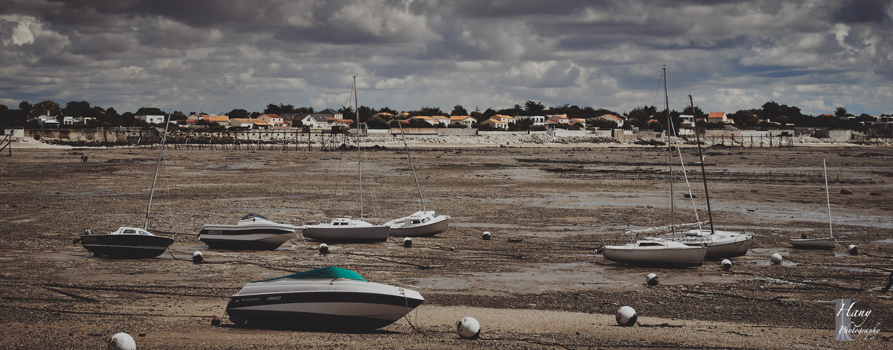 Boats on the beach