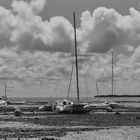 Boats on the beach