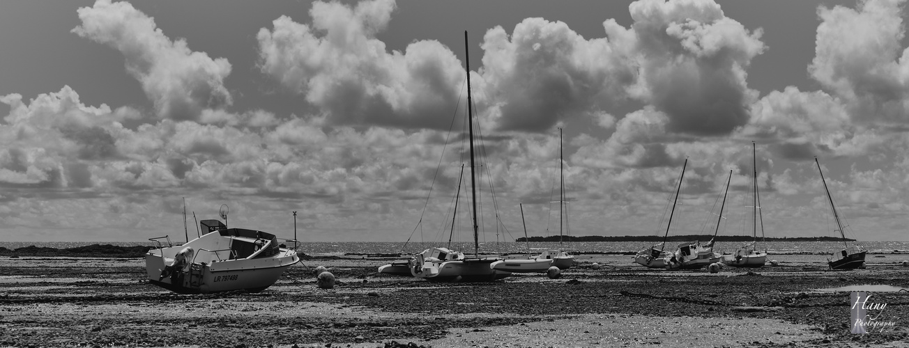 Boats on the beach