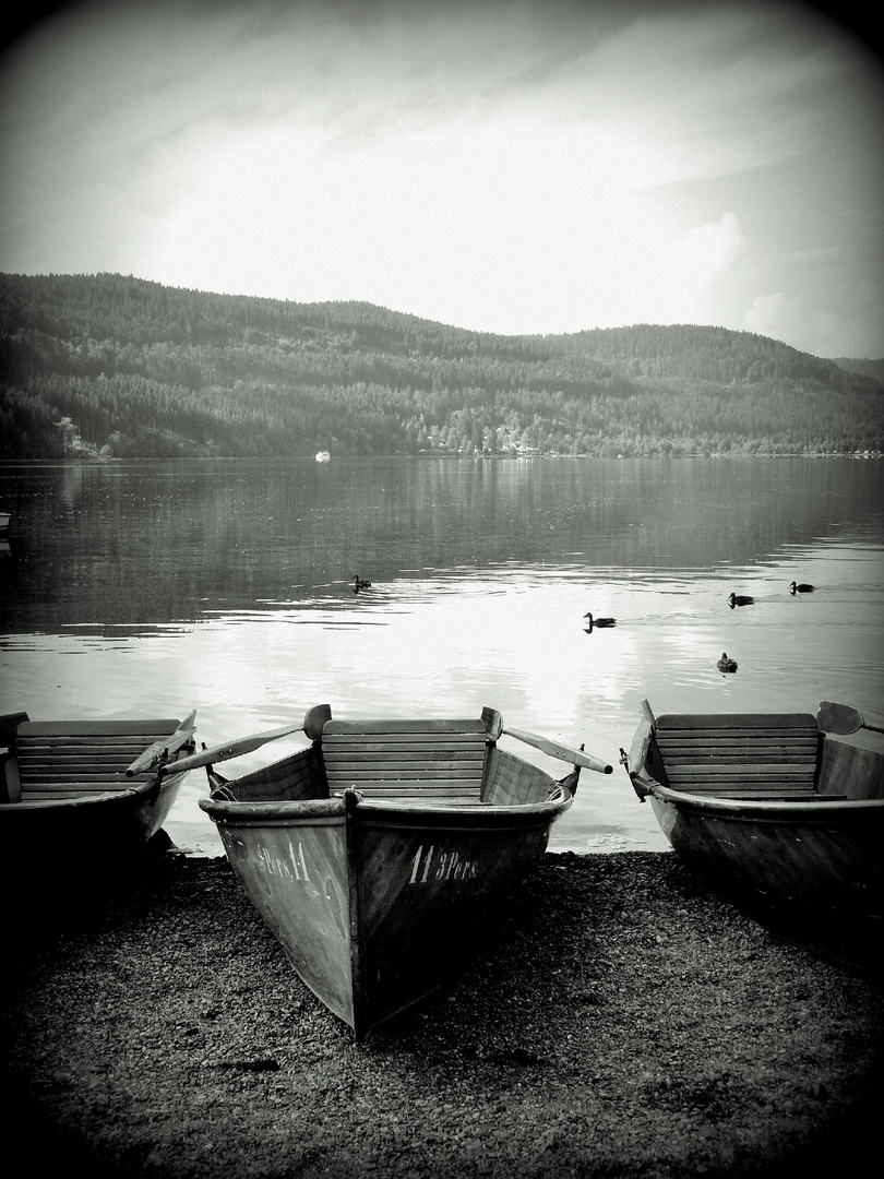 Boats on the water's edge