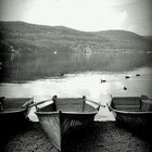 Boats on the water's edge