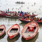 Boats,Pilgrims,birds