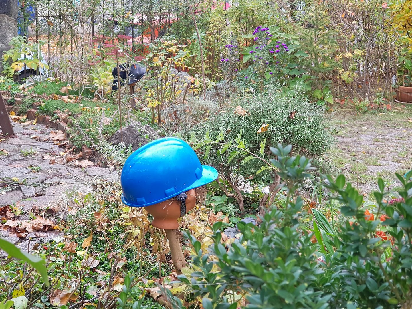 Bob der Baumeister hat Wurzeln geschlagen