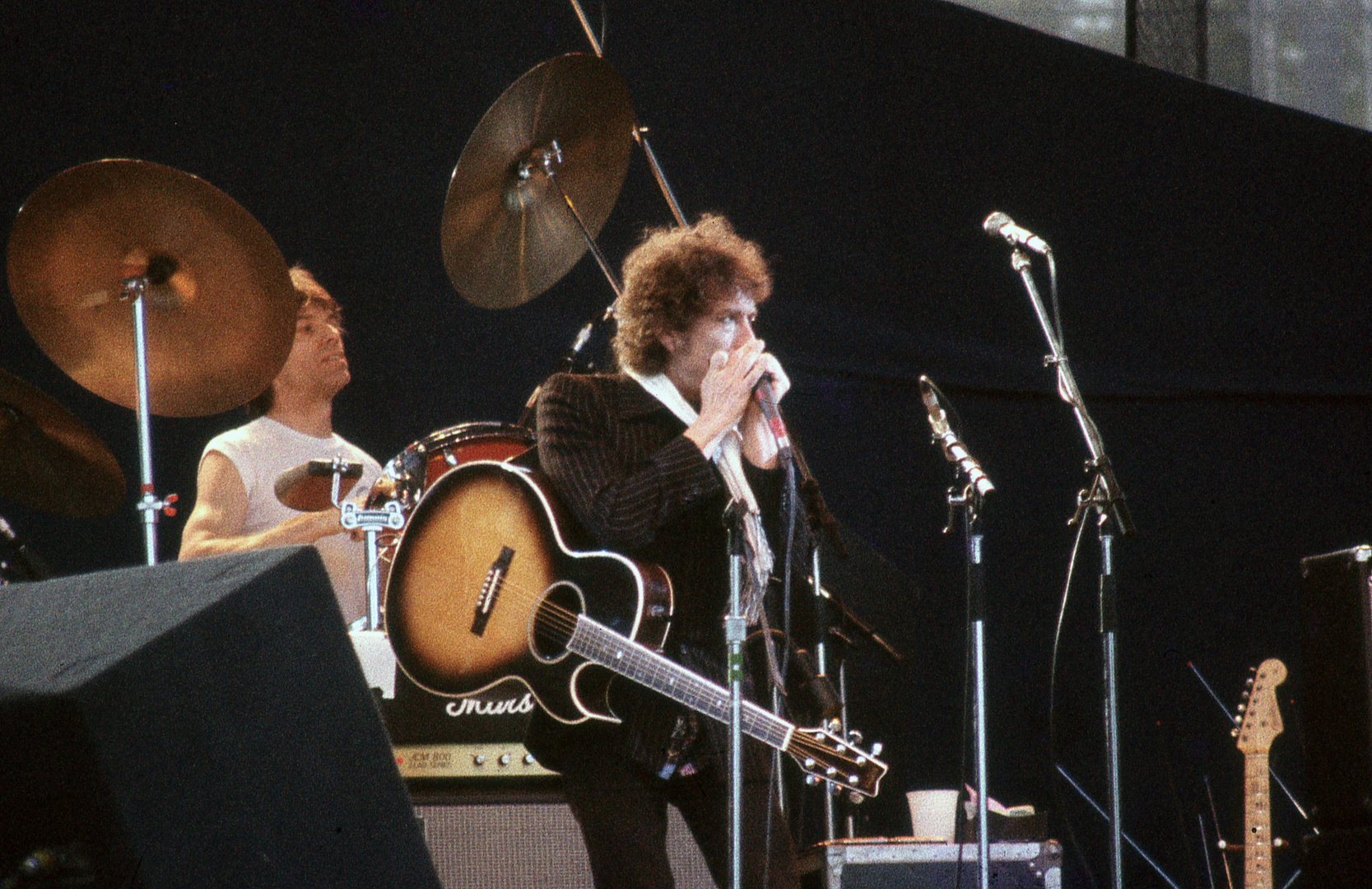 Bob Dylan & Colin Allen