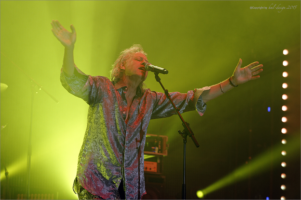 Bob Geldof 2 (2015)