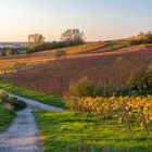 Bob Herbstlandschaft