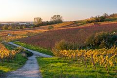 Bob Herbstlandschaft