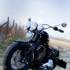 Bobber I