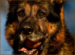 Bobby (13) mit seinem heißgeliebten Ball...