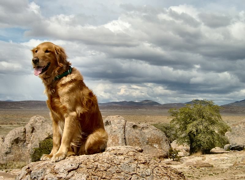 Bobby @ City of Rocks, New Mexico