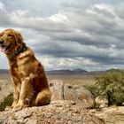 Bobby @ City of Rocks, New Mexico