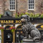 Bobby II - Edinburgh/Schottland