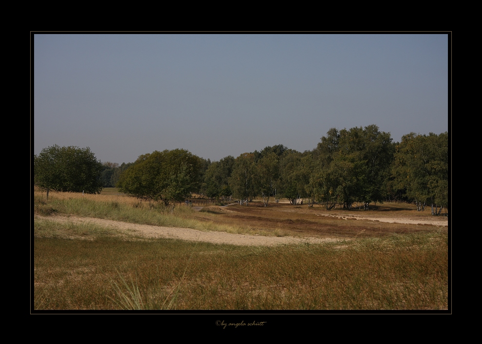 ~Boberger Dünen~